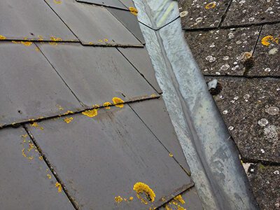 Moss Removal Berkshire