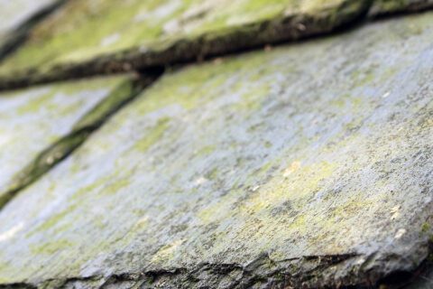 <strong>Roof Moss Removal & Cleaning</strong> Berkshire